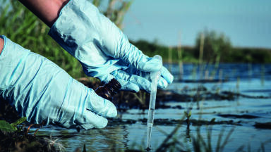 How salinity could become the most important environmental parameter